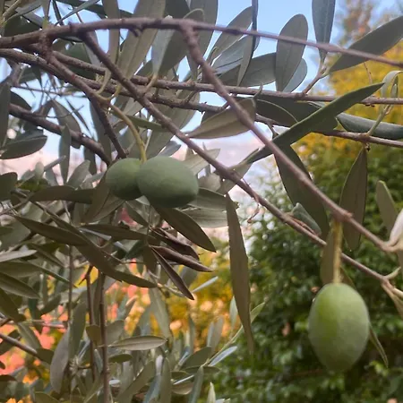 La Casetta- Bilocale Con Giardino Privato Apartment *