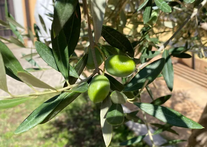 Appartamento La Casetta- Bilocale Con Giardino Privato *